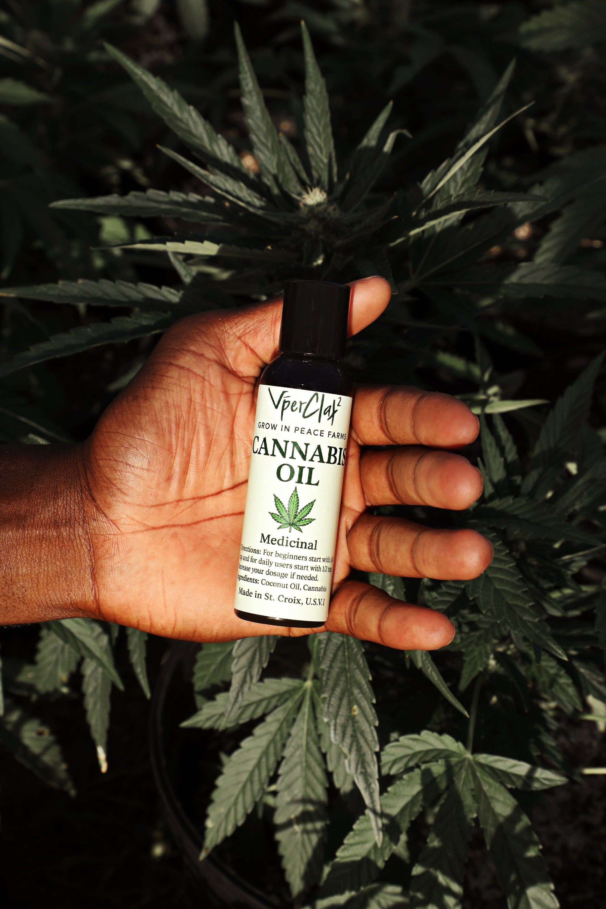 Cannabis Oil