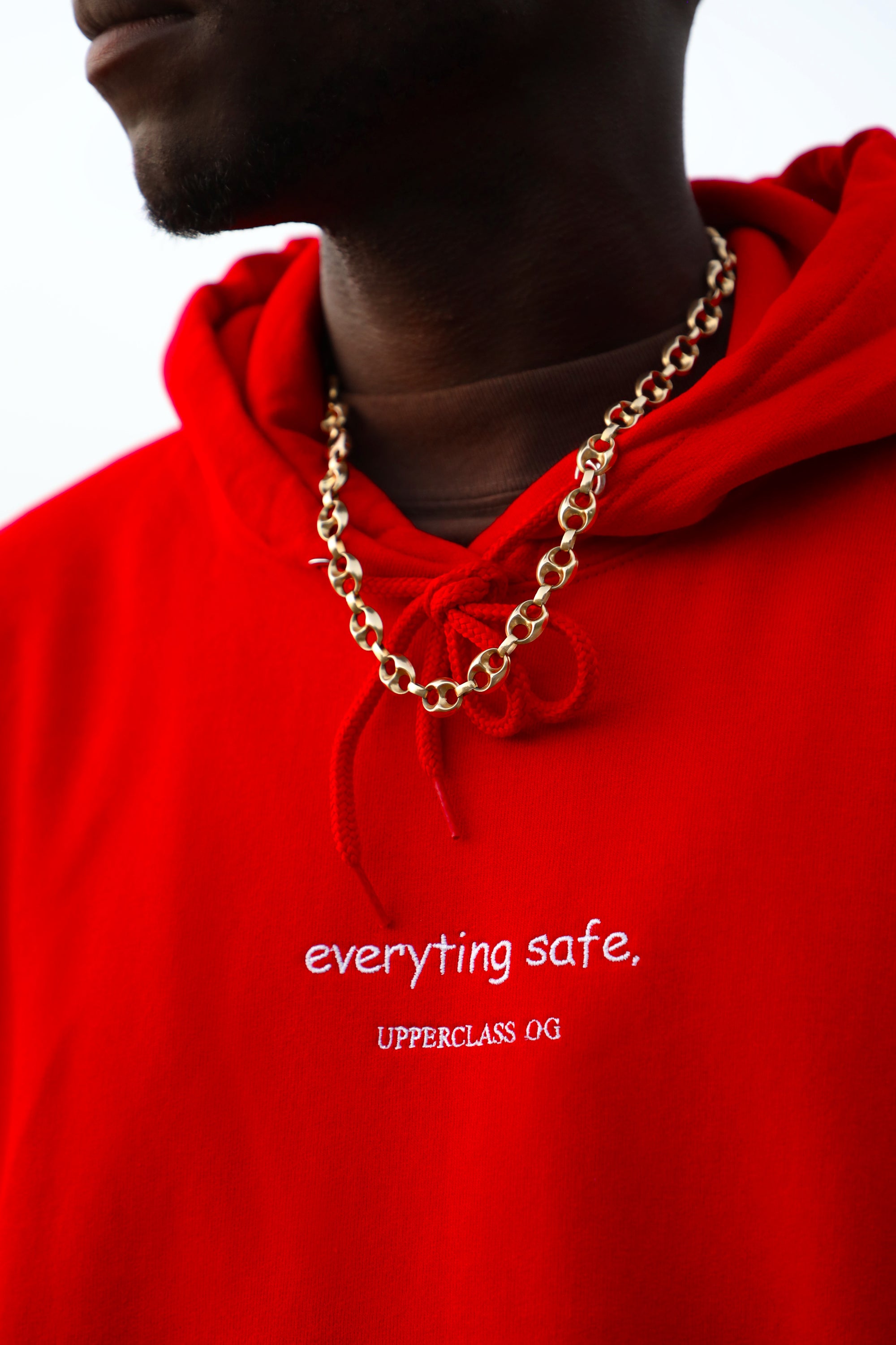 everyting safe hoodie
